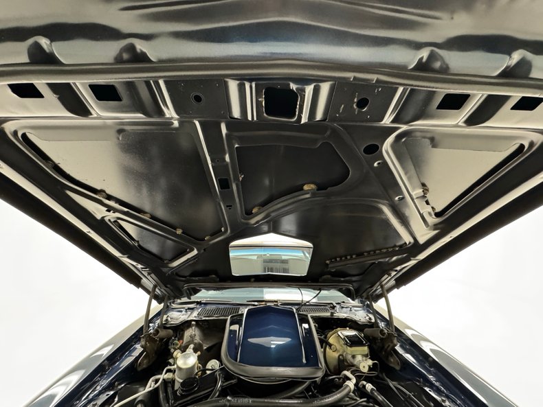 Pontiac-Firebird-1981-Nightwatch-Blue-Dark-Blue-7