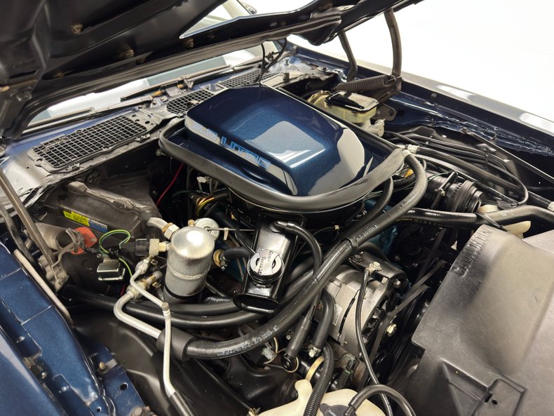 Pontiac-Firebird-1981-Nightwatch-Blue-Dark-Blue-8