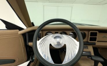 Pontiac-Firebird-1992-Dark-Jade-Green-Meta-Tan-10