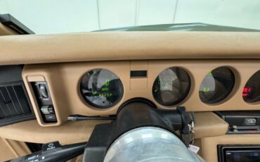 Pontiac-Firebird-1992-Dark-Jade-Green-Meta-Tan-11