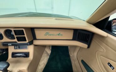 Pontiac-Firebird-1992-Dark-Jade-Green-Meta-Tan-15