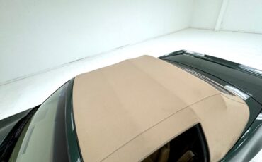 Pontiac-Firebird-1992-Dark-Jade-Green-Meta-Tan-19