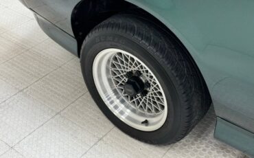 Pontiac-Firebird-1992-Dark-Jade-Green-Meta-Tan-28