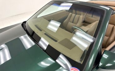 Pontiac-Firebird-1992-Dark-Jade-Green-Meta-Tan-29