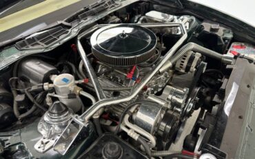 Pontiac-Firebird-1992-Dark-Jade-Green-Meta-Tan-37