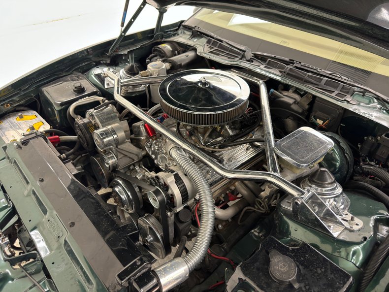 Pontiac-Firebird-1992-Dark-Jade-Green-Meta-Tan-40