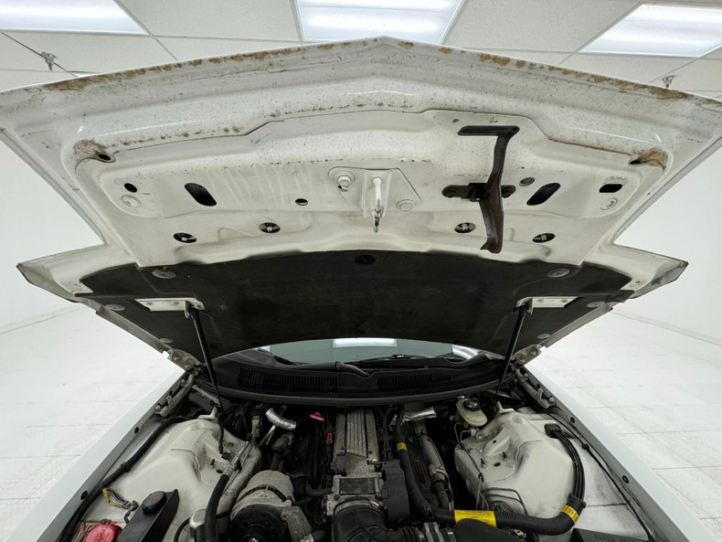 Pontiac-Firebird-1994-White-Tan-23