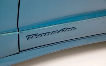 Pontiac-Firebird-1995-Medium-Teal-Blue-Met-Beige-30