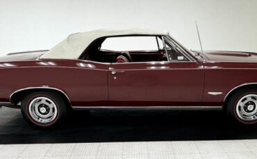 Pontiac-Gto-1966-Burgundy-Red-7