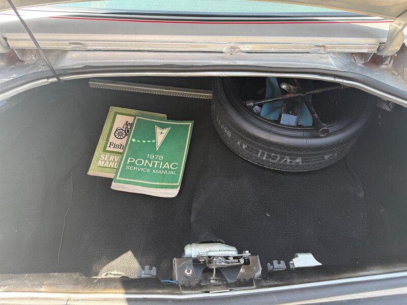 Pontiac-Trans-am-1979-Silver-1