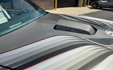 Pontiac-Trans-am-1979-Silver-14