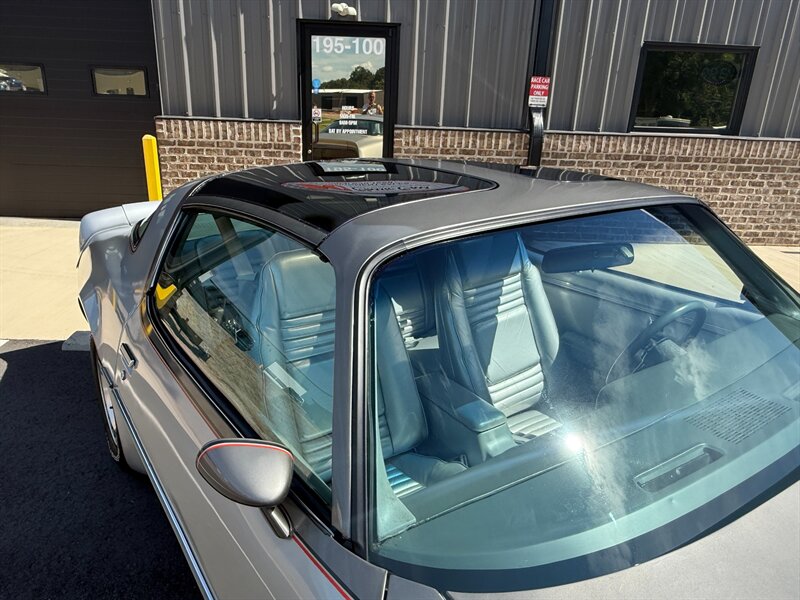 Pontiac-Trans-am-1979-Silver-15