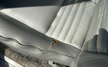 Pontiac-Trans-am-1979-Silver-25