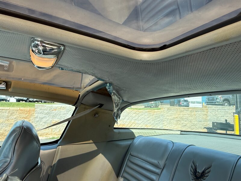 Pontiac-Trans-am-1979-Silver-26