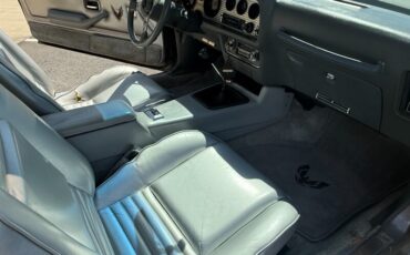 Pontiac-Trans-am-1979-Silver-28