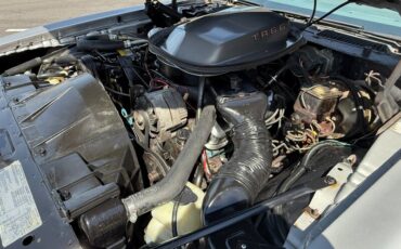 Pontiac-Trans-am-1979-Silver-32