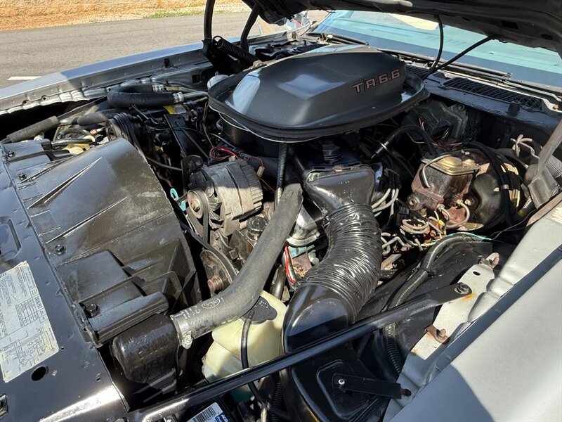 Pontiac-Trans-am-1979-Silver-32