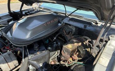 Pontiac-Trans-am-1979-Silver-33