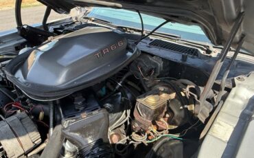 Pontiac-Trans-am-1979-Silver-34