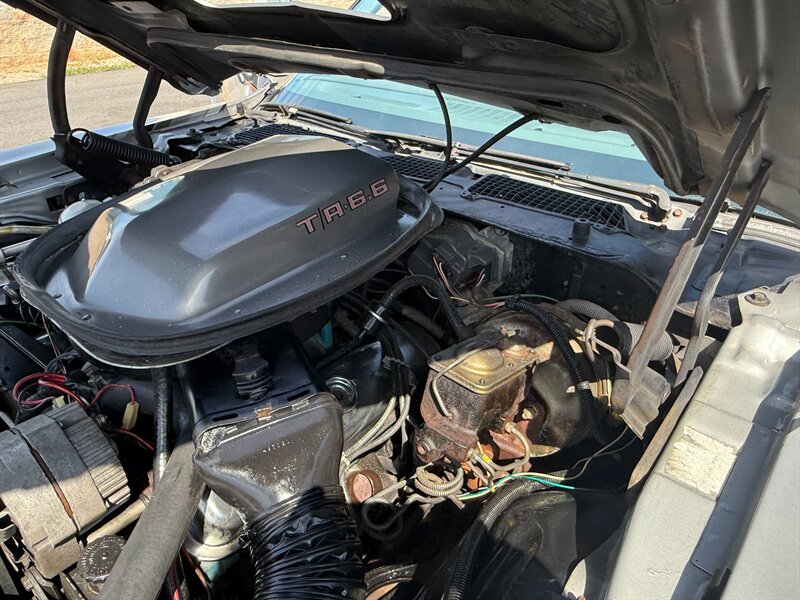 Pontiac-Trans-am-1979-Silver-34