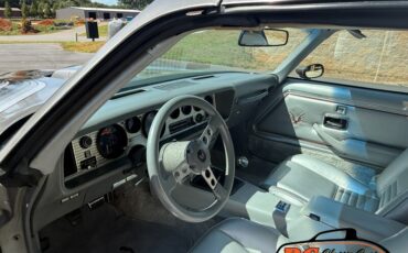 Pontiac-Trans-am-1979-Silver