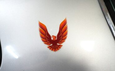 Pontiac-Trans-am-1979-Silver-Red-47