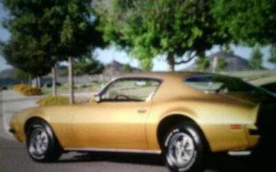 Pontiac firebird formula 1974