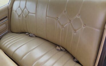 Pontiac-phoenix-1977-brown-14