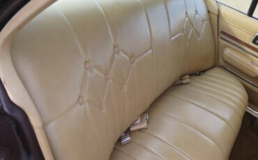 Pontiac-phoenix-1977-brown-15