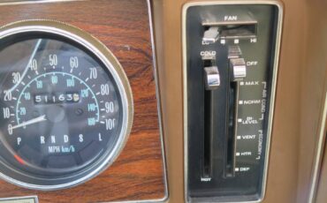 Pontiac-phoenix-1977-brown-20