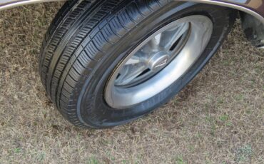 Pontiac-phoenix-1977-brown-23