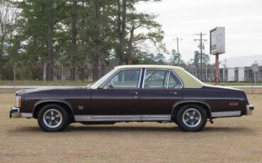 Pontiac-phoenix-1977-brown-4