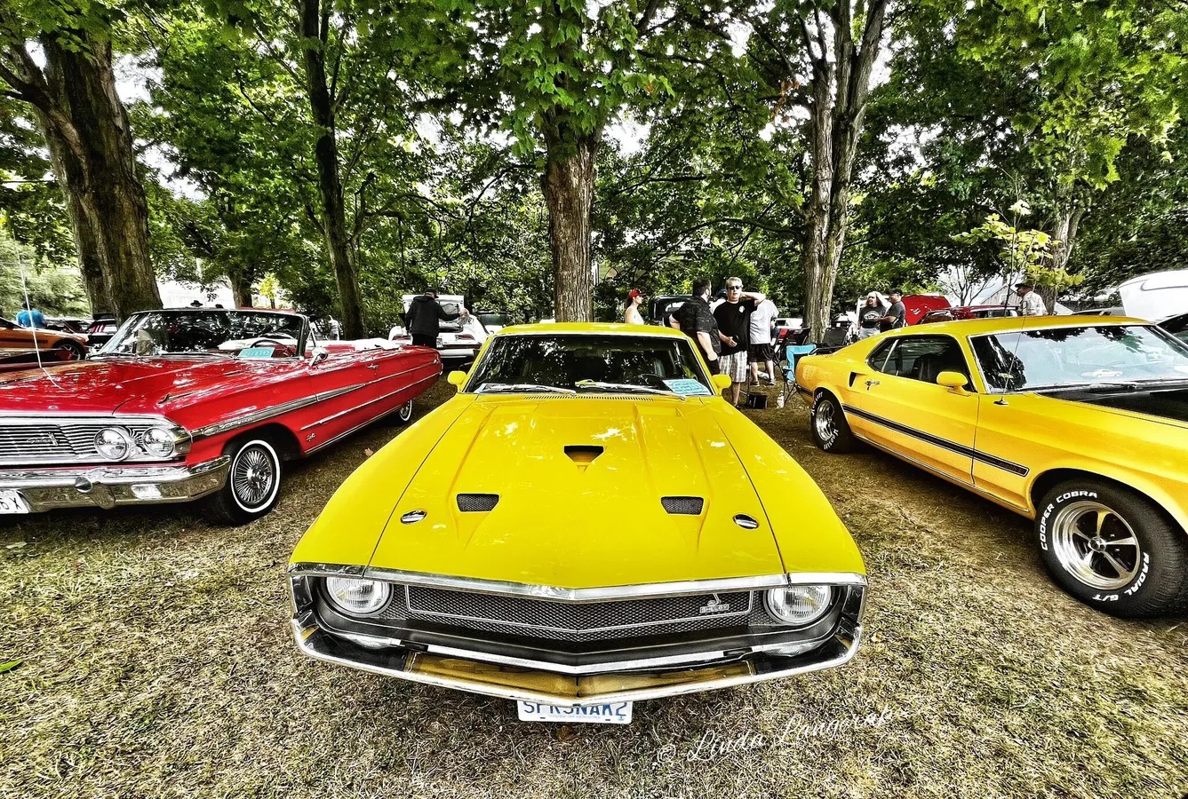 Shelby-Gt350-1969-Grabber-Yellow-Black-11