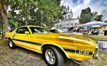 Shelby-Gt350-1969-Grabber-Yellow-Black-12