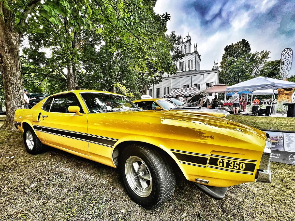 Shelby-Gt350-1969-Grabber-Yellow-Black-12