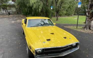 Shelby-Gt350-1969-Grabber-Yellow-Black-2