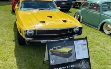 Shelby-Gt350-1969-Grabber-Yellow-Black-4