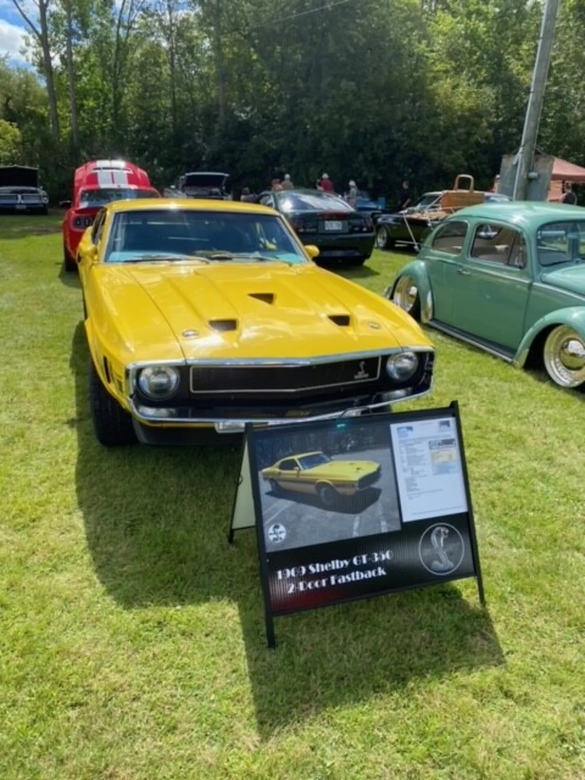 Shelby-Gt350-1969-Grabber-Yellow-Black-4