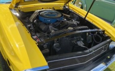 Shelby-Gt350-1969-Grabber-Yellow-Black-5