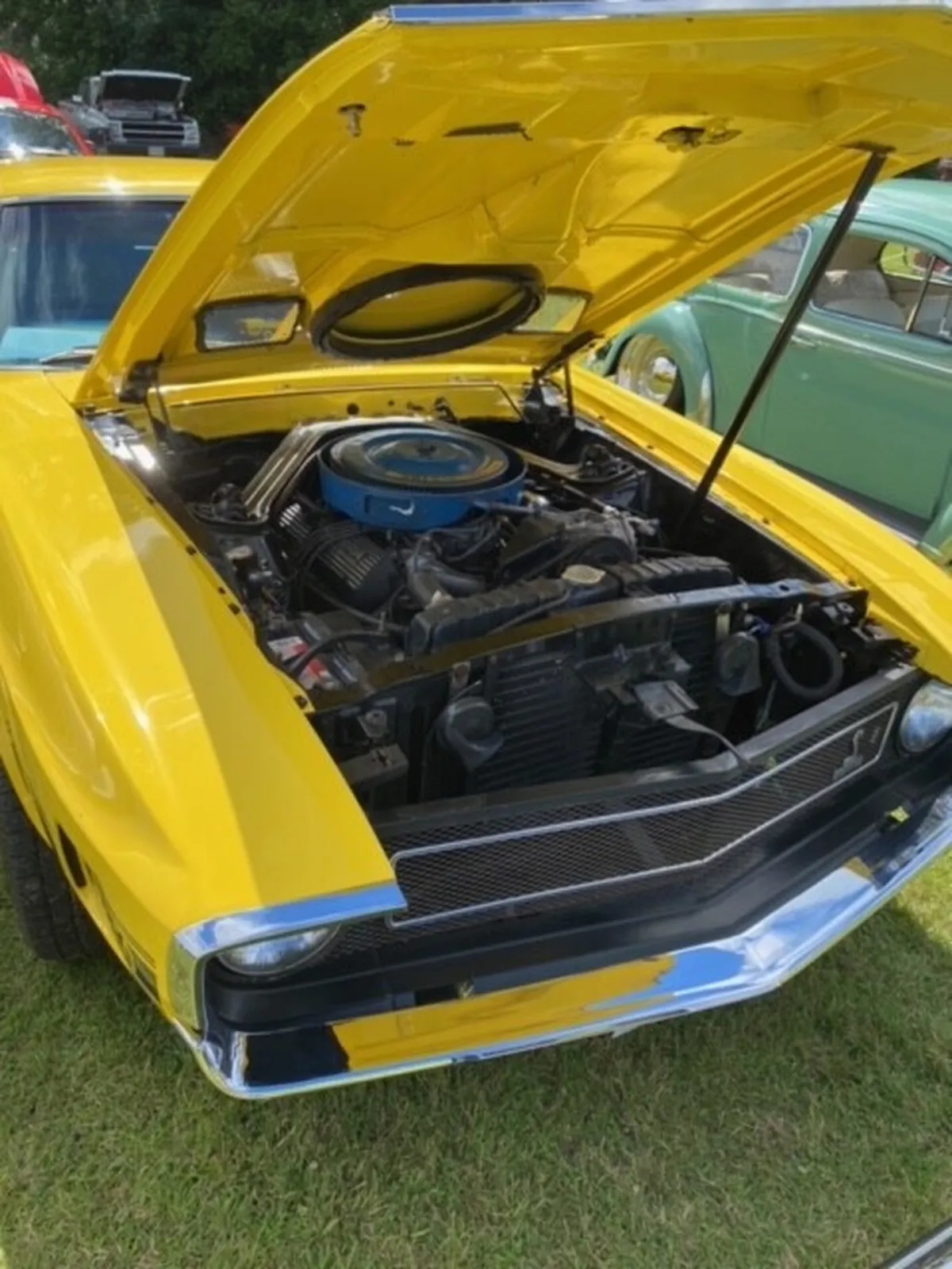 Shelby-Gt350-1969-Grabber-Yellow-Black-5