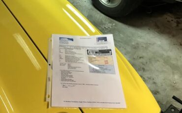 Shelby-Gt350-1969-Grabber-Yellow-Black-7