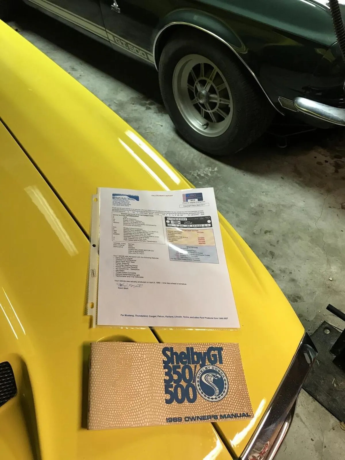 Shelby-Gt350-1969-Grabber-Yellow-Black-7