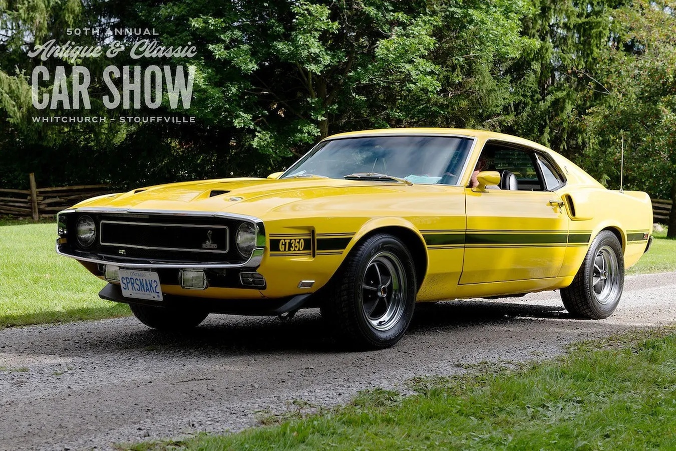 Shelby-Gt350-1969-Grabber-Yellow-Black-9