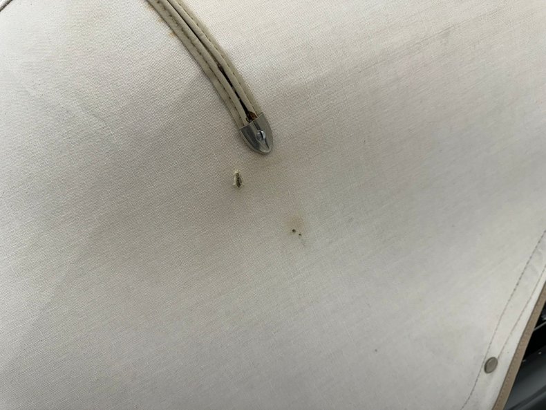 Studebaker-Commander-1949-Black-Oxblood-35