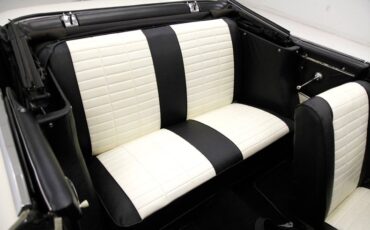 Studebaker-Other-1962-White-Black-ampamp-White-38