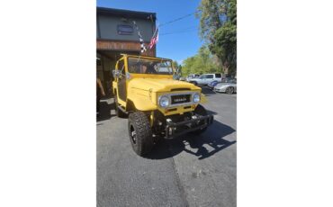 Toyota-Land-cruiser-fj40-1967-Yellow-Black-32