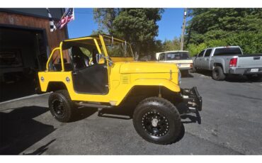 Toyota-Land-cruiser-fj40-1967-Yellow-Black-34
