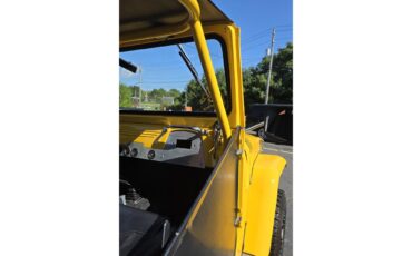 Toyota-Land-cruiser-fj40-1967-Yellow-Black-53