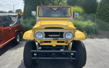 Toyota-Land-cruiser-fj40-1967-Yellow-Black-91