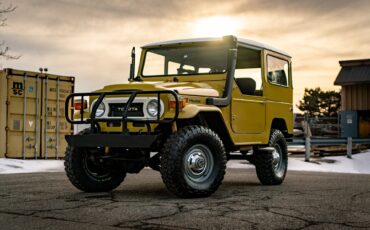 Toyota-Other-1974-BeigeTan-Black-1